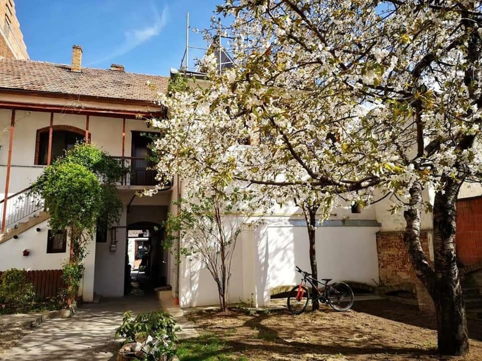 Apartamento Casa Miron 1 Timisoara Exterior foto